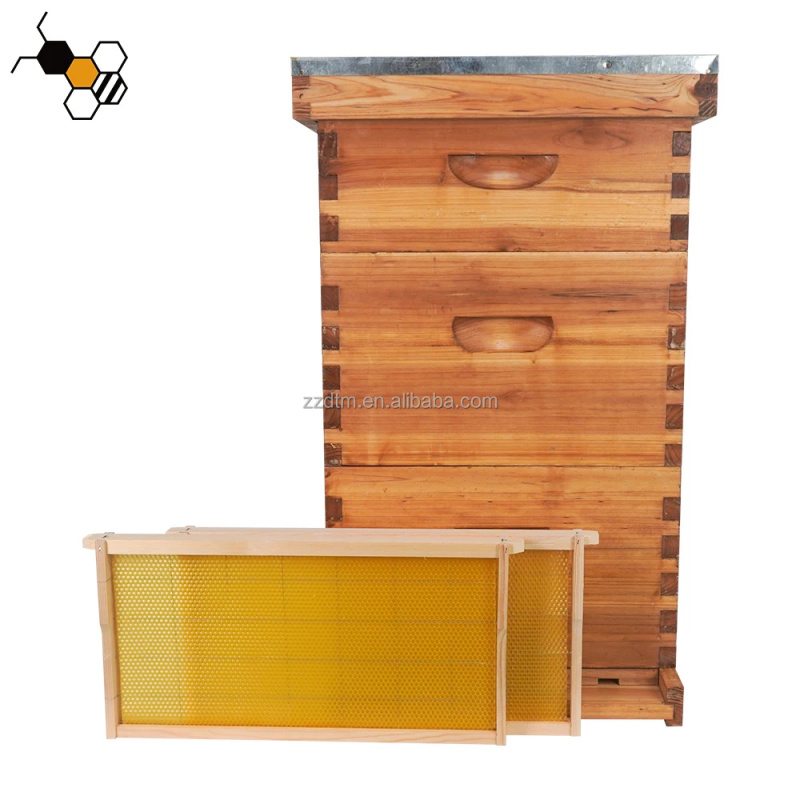 High-Quality 30-Frame Bee Hive - огляд і ціна Beehive Frame Wax
