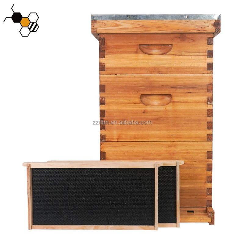 High-Quality 30-Frame Bee Hive - огляд і ціна Beehive Frame Wax