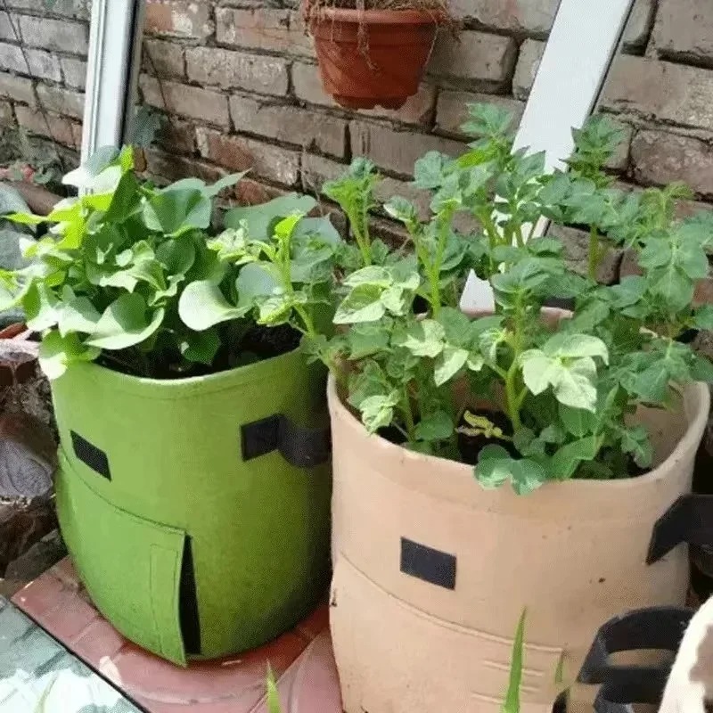 3Styles Felt plant grow bags n - огляд і ціна Agriculture Vertical Farming