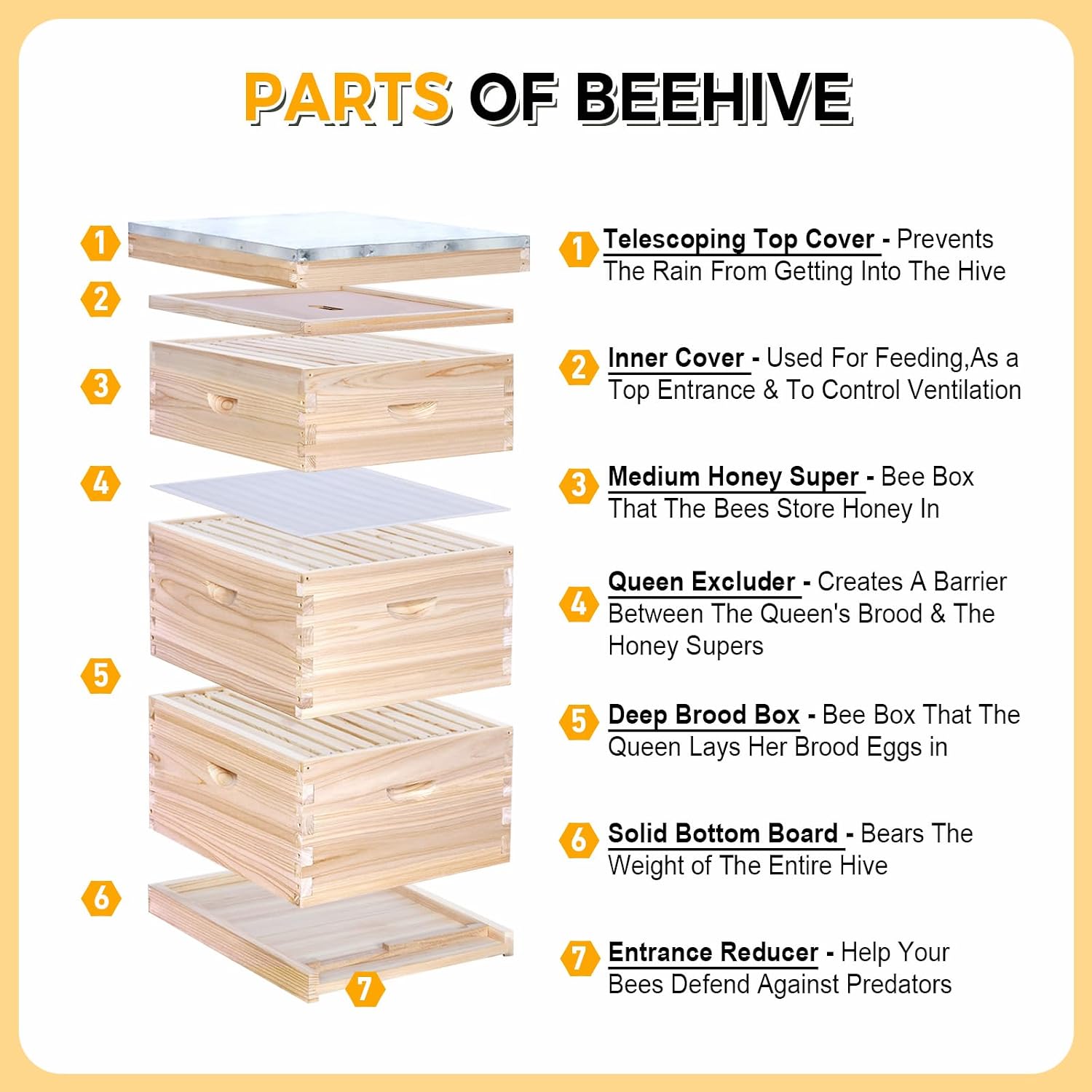 10-Frame Complete Bee Hives an - огляд і ціна Beehive Frame Wax
