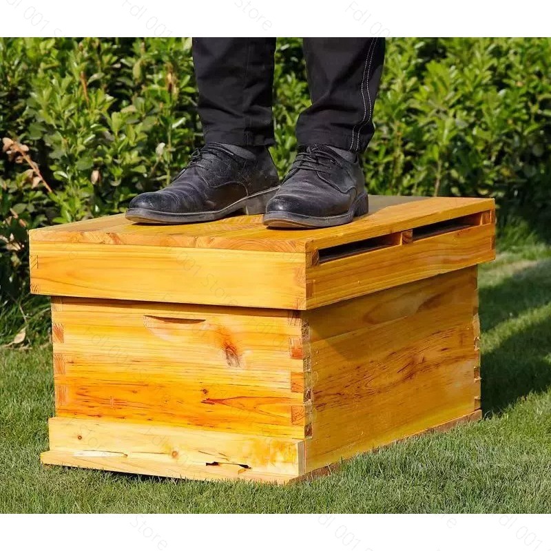 Complete Beehive Kit 10 Frames - огляд і ціна Beehive Frame Wax