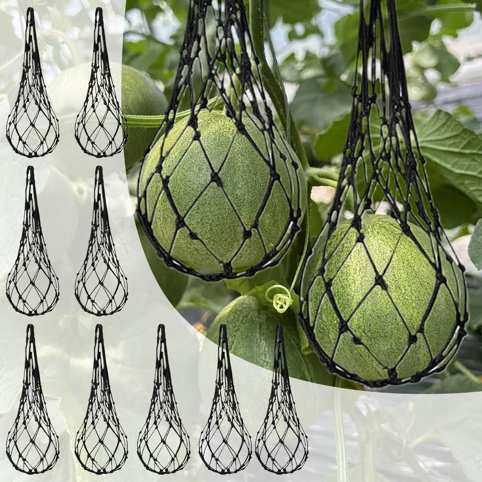 10pcs Watermelon Nets Garden V - огляд і ціна Agriculture Vertical Farming