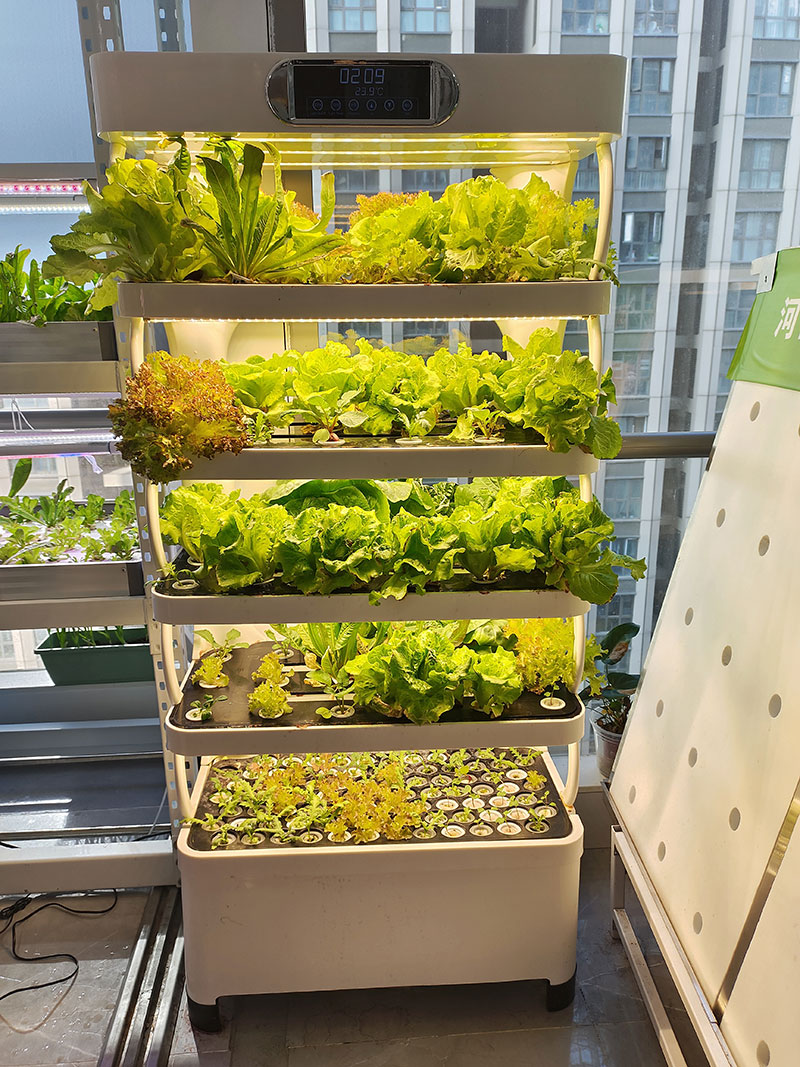 c Agriculture Machine to Growi - огляд і ціна Agriculture Vertical Farming