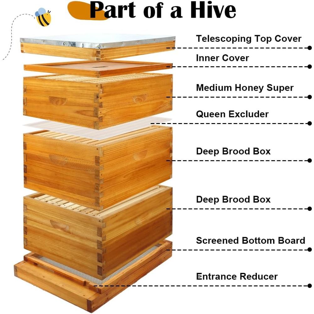 10-Frame Beehive Kit with Waxe - огляд і ціна Beehive Frame Wax