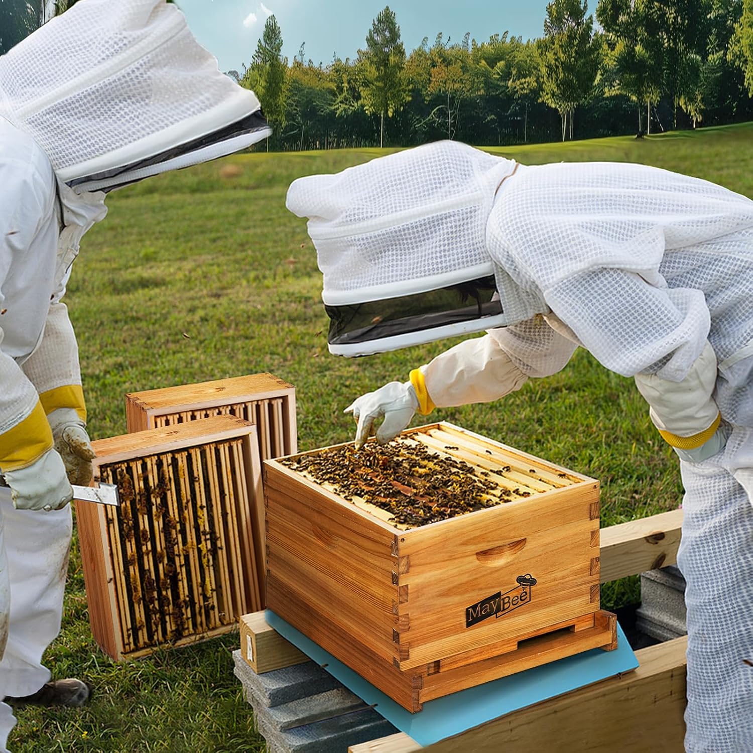 Beehive Starter Kit 8-Frame Be - огляд і ціна Beehive Frame Wax