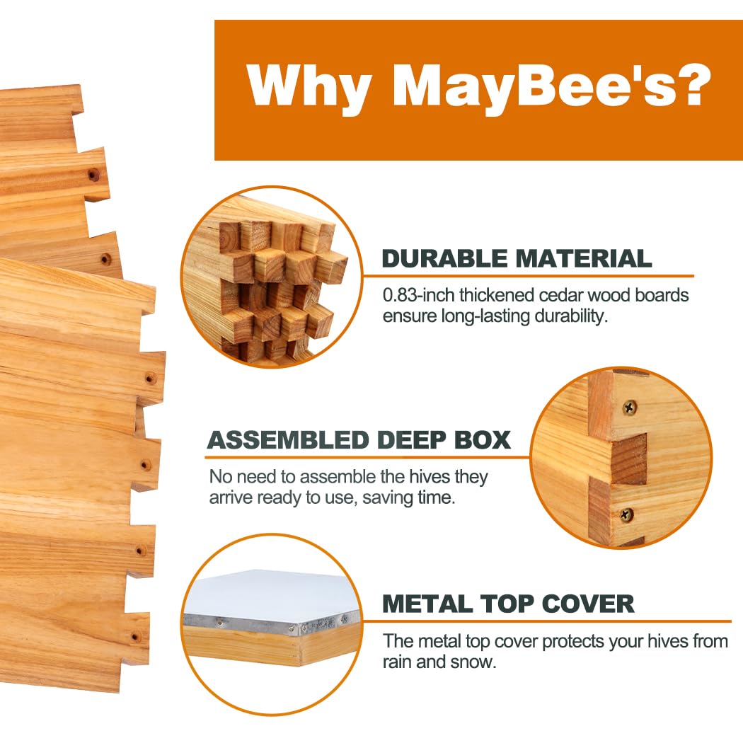 Beehive Starter Kit 8-Frame Be - огляд і ціна Beehive Frame Wax